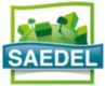 Logo SAEDEL